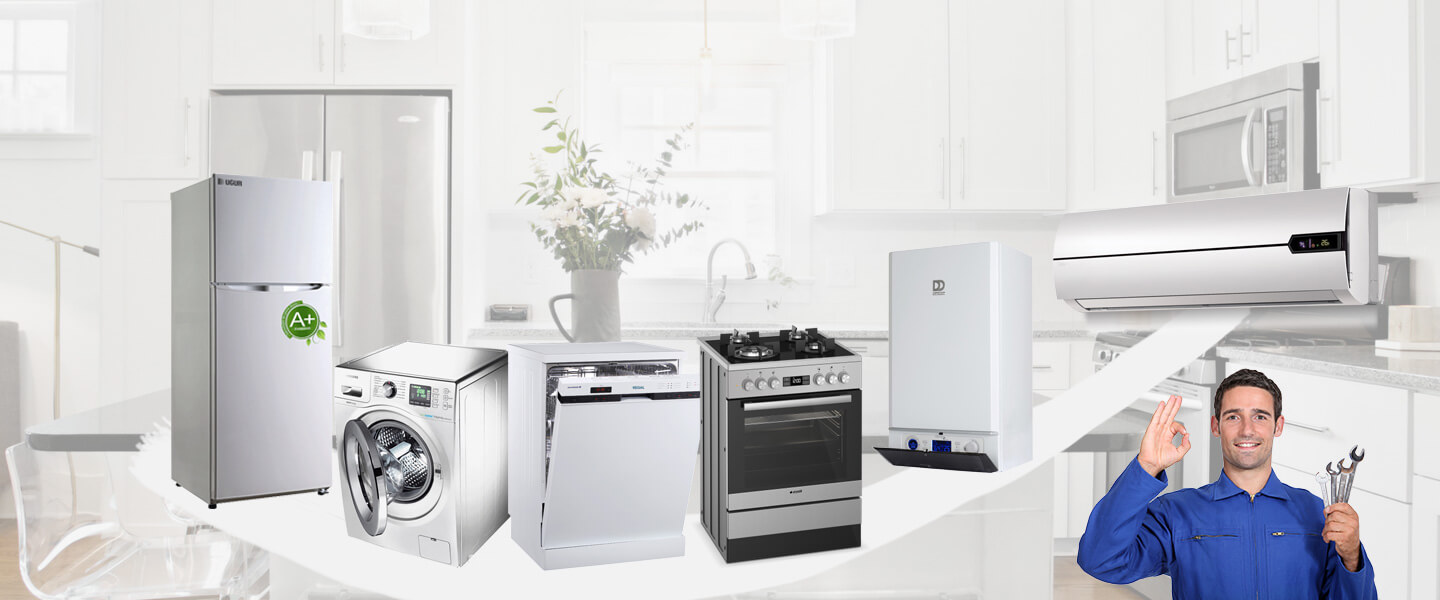 Maltepe Electrolux Servisi